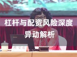 杠杆与配资风险深度 异动解析